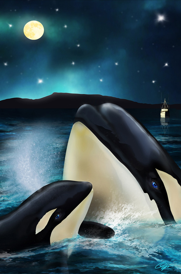 Orcas, Play, Ocean