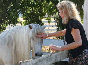 Icelandic Horses